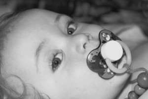 DSC09412 1 800x536